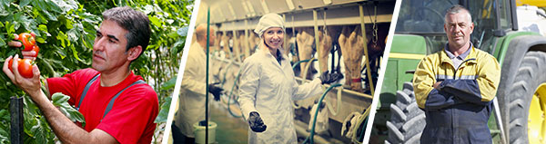 600x159_agriculture_6866127208792084266.png (Agriculture)