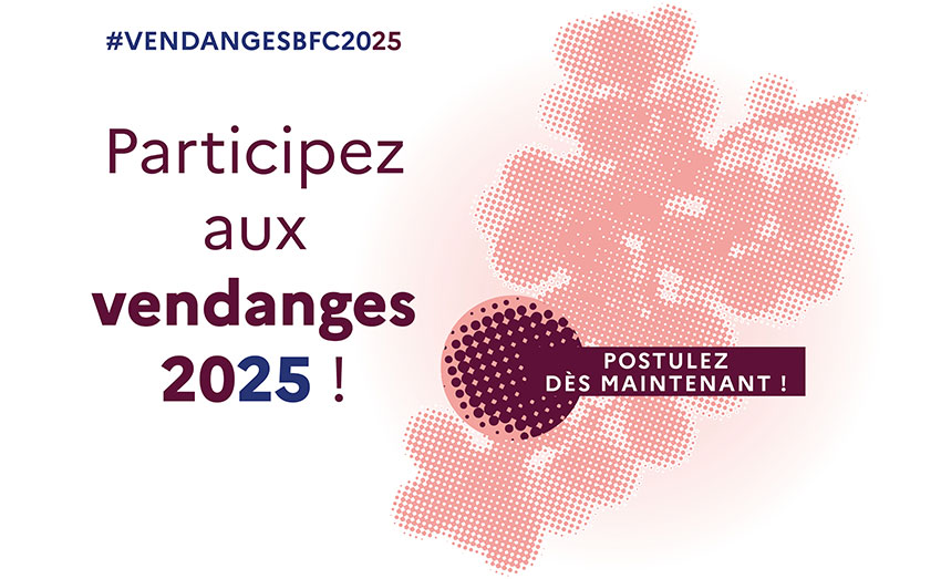 visuel grappe de raisins