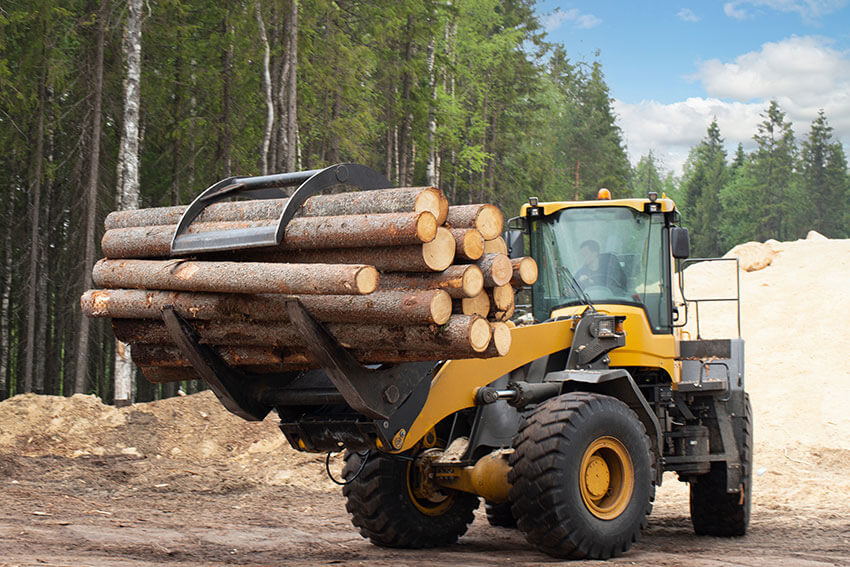 Formation en travaux de bûcheronnage et utilisation des machines forestières en Corse