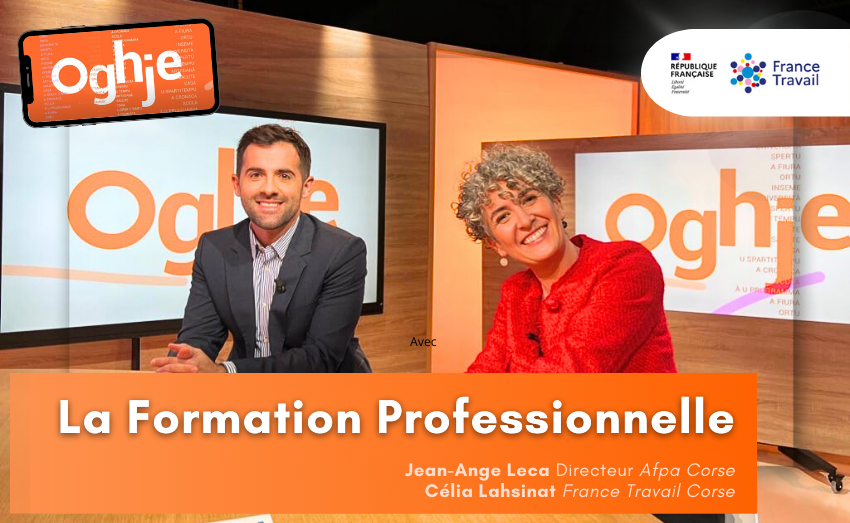 La Formation Professionnelle