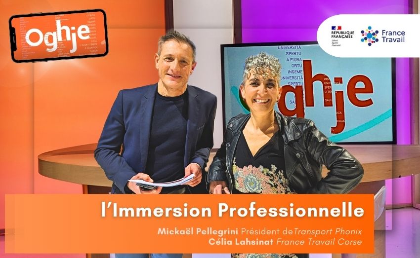 L'Immersion professionnelle