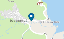 Dzoumonyé.png