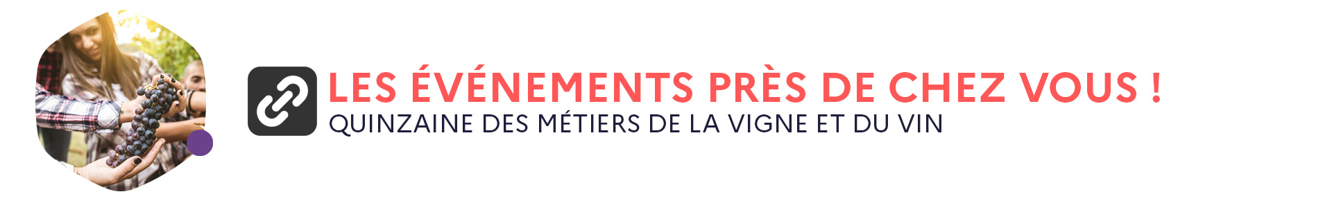 Evenements de la Quinzaine des metiers de la vigne et du vin