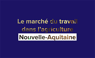 Les chiffres de la filière agricole en Nouvelle-Aquitaine