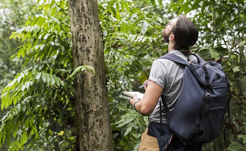 Formations dans l’environnement