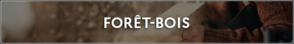 Titre forêt-bois
