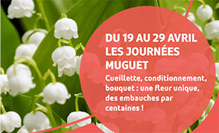 Recrutement muguet 2025 avec Pôle emploi Pays de la Loire