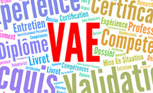 vae2