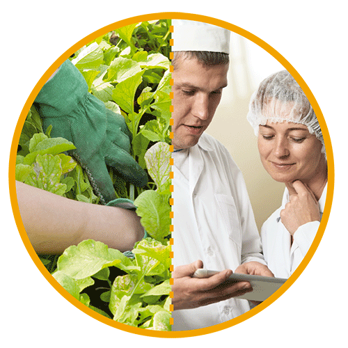 visuel_rond_agroagri_500.png