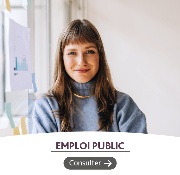 emploi public